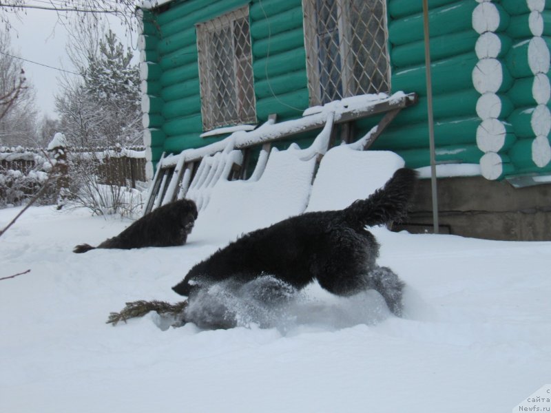 Фотография № 240948