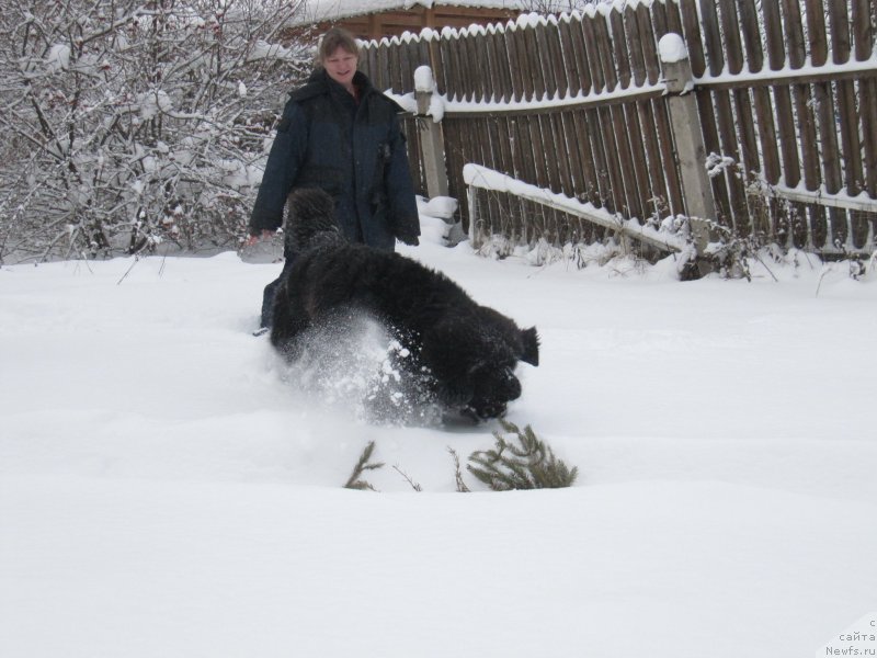 Фотография № 240951