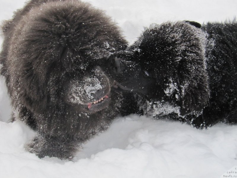 Фотография № 240952