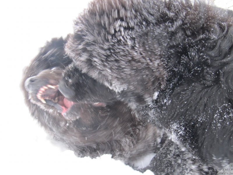 Фотография № 240954