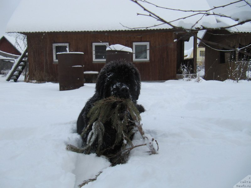 Фотография № 240955