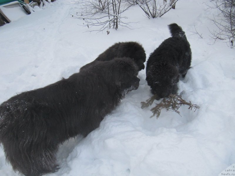 Фотография № 240956