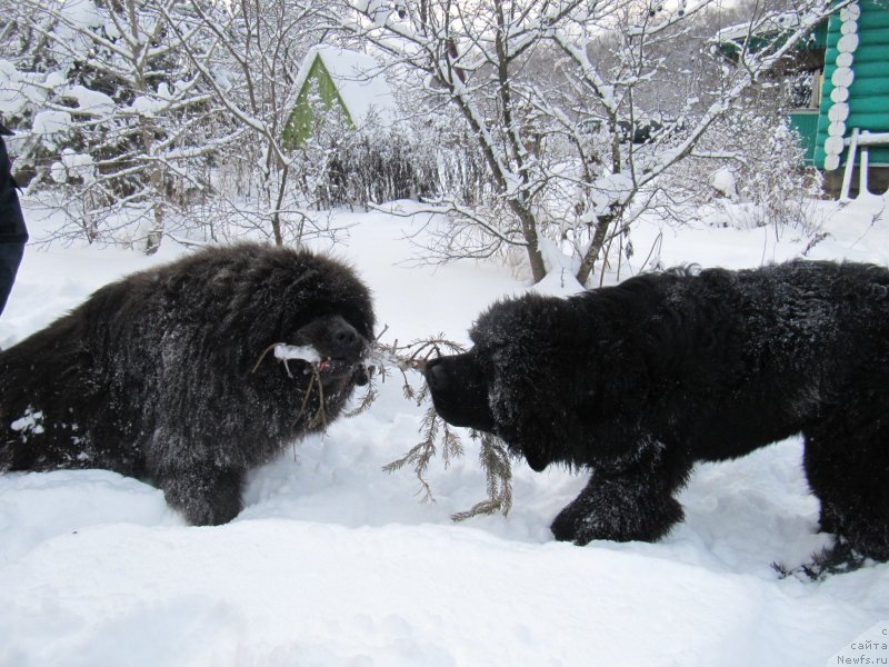 Фотография № 240957