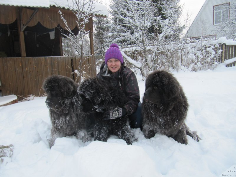 Фотография № 240961