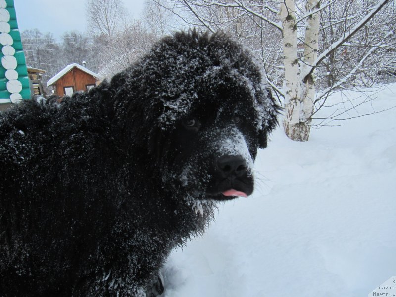 Фотография № 240963