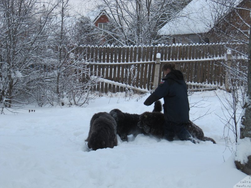 Фотография № 240964