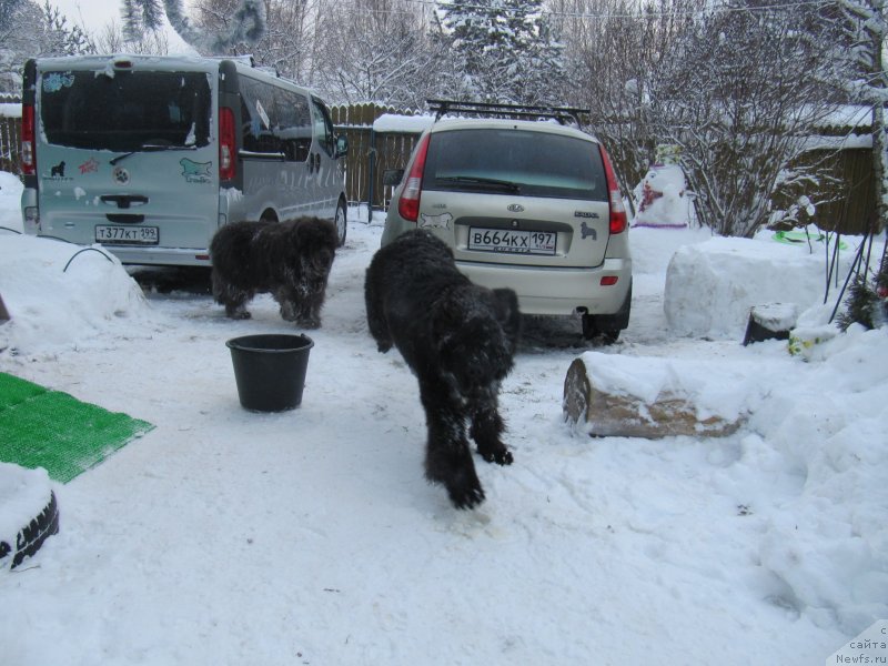 Фотография № 240965