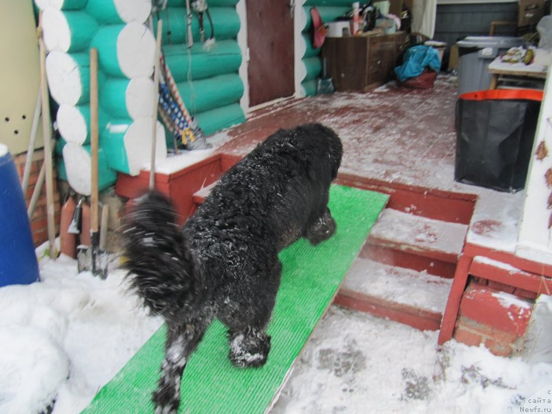 Фотография № 240966