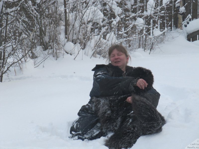 Фото: ньюфаундленд Риччи с Берега Дона (Richchi s Berega Dona), Анна Петрушкина