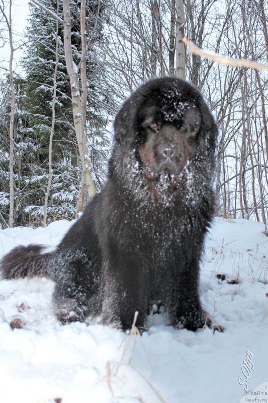 Фотография № 240968