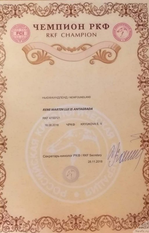 Фотография № 240971