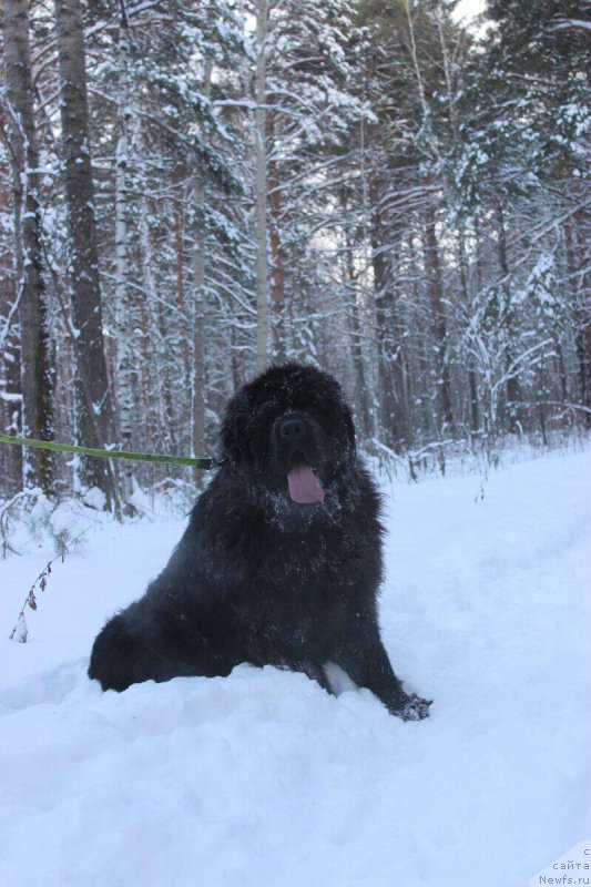 Фотография № 240992