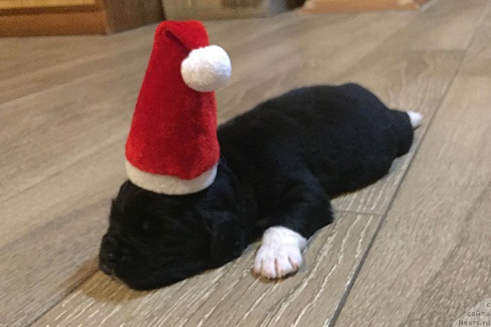 Фотография № 240997