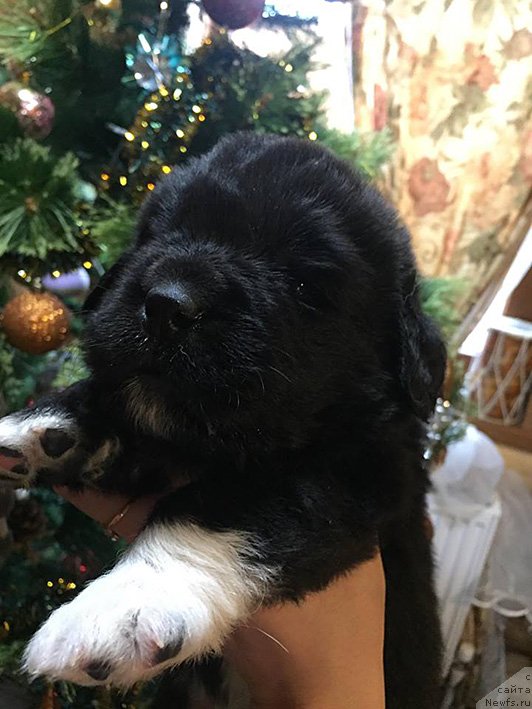 Фото: второй