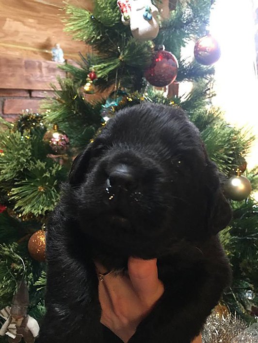 Фото: третий