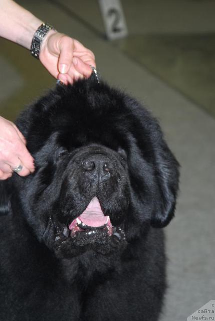 Фотография № 24104