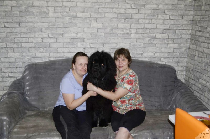 Фотография № 241057