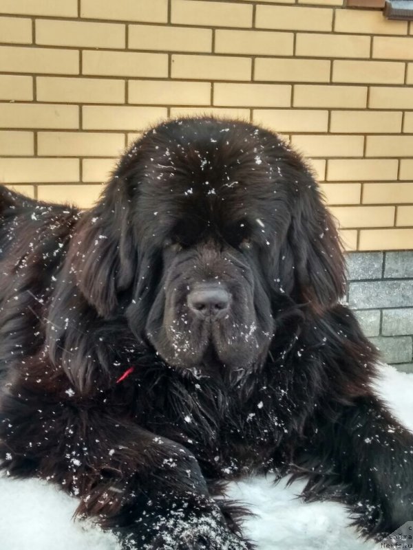 Фотография № 241060