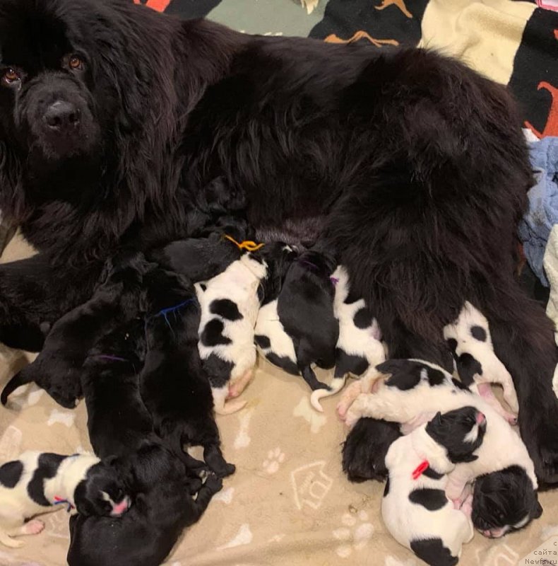 Фотография № 241061