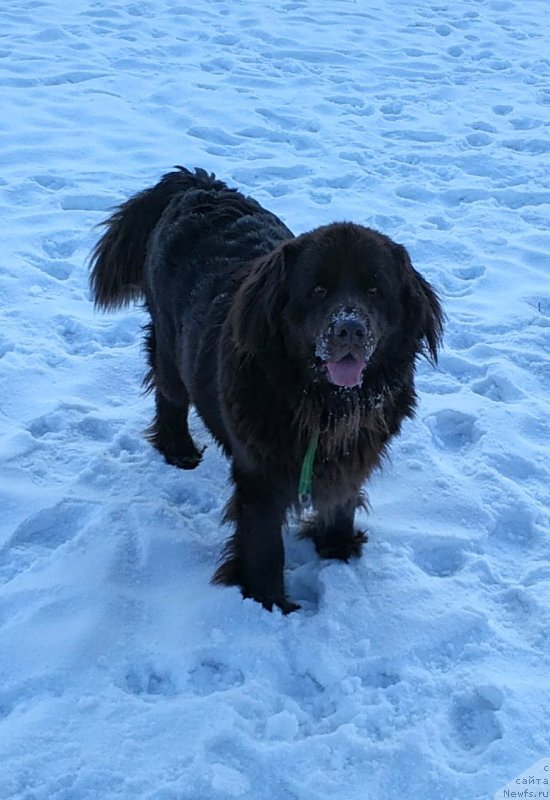 Фотография № 241066