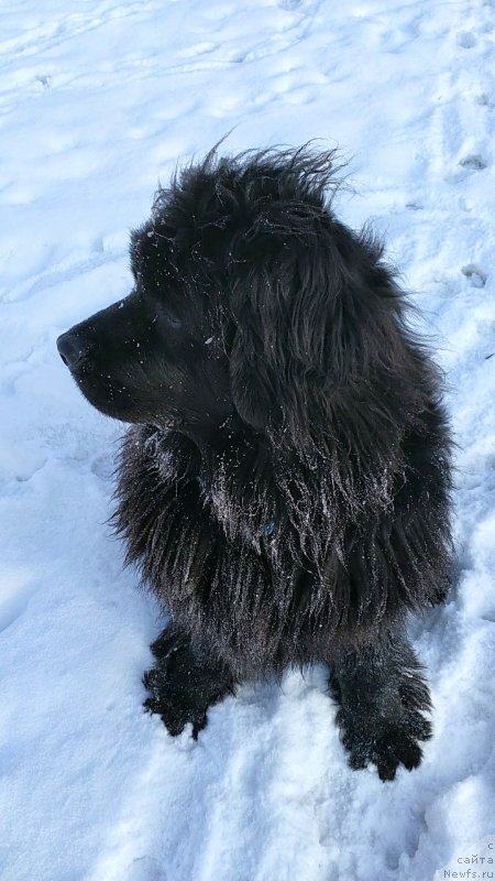 Фотография № 241067