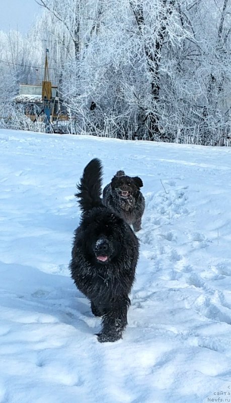 Фотография № 241068