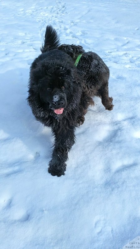 Фотография № 241069