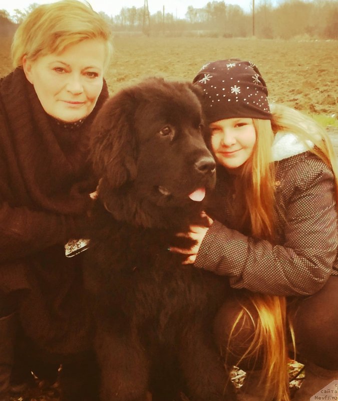 Фото: ньюфаундленд Обуш Шед Иннерсте И Мин Сйелс (Obush Shed Innerste I Min Sjels)