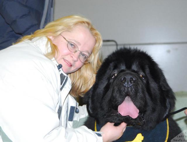 Фото: ньюфаундленд Poison or Honey King of Helluland, Юлия Ястребова