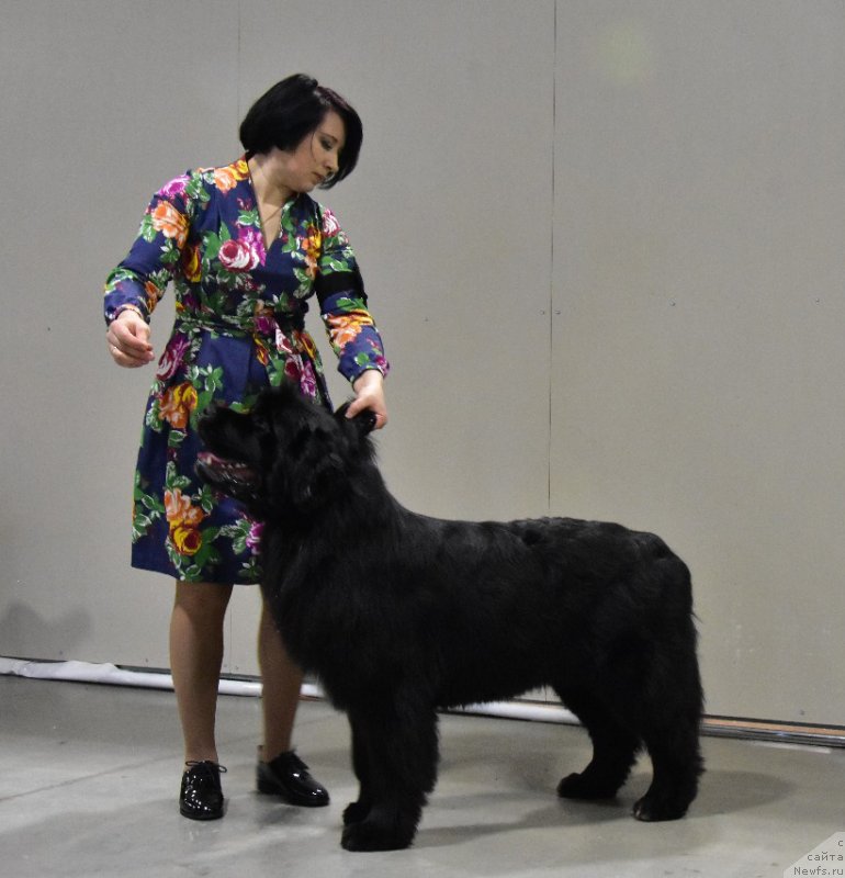 Фотография № 241253