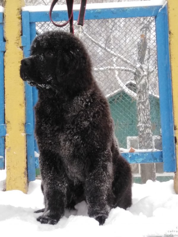 Фото: Алина Фахрутдинова