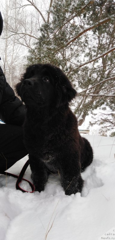 Фото: Алина Фахрутдинова