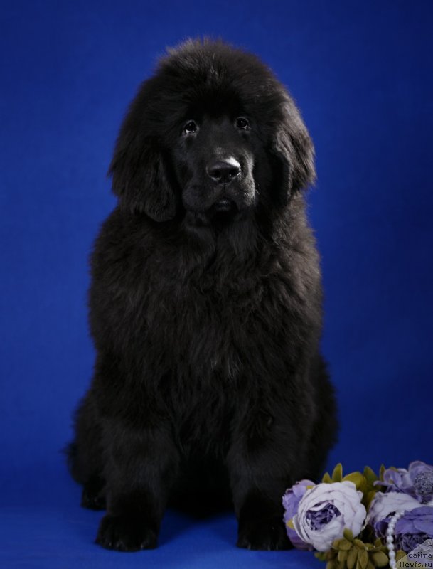 Фото: Алина Фахрутдинова