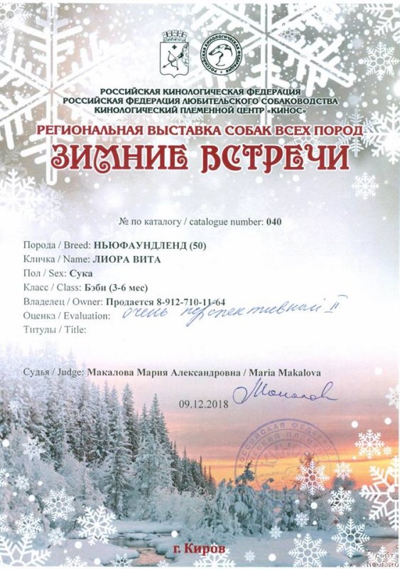 Фото: Алина Фахрутдинова