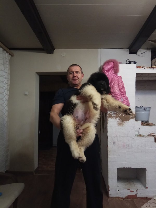 Фото: Татьяна Акулинина