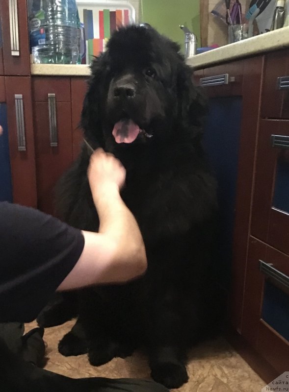 Фотография № 241306