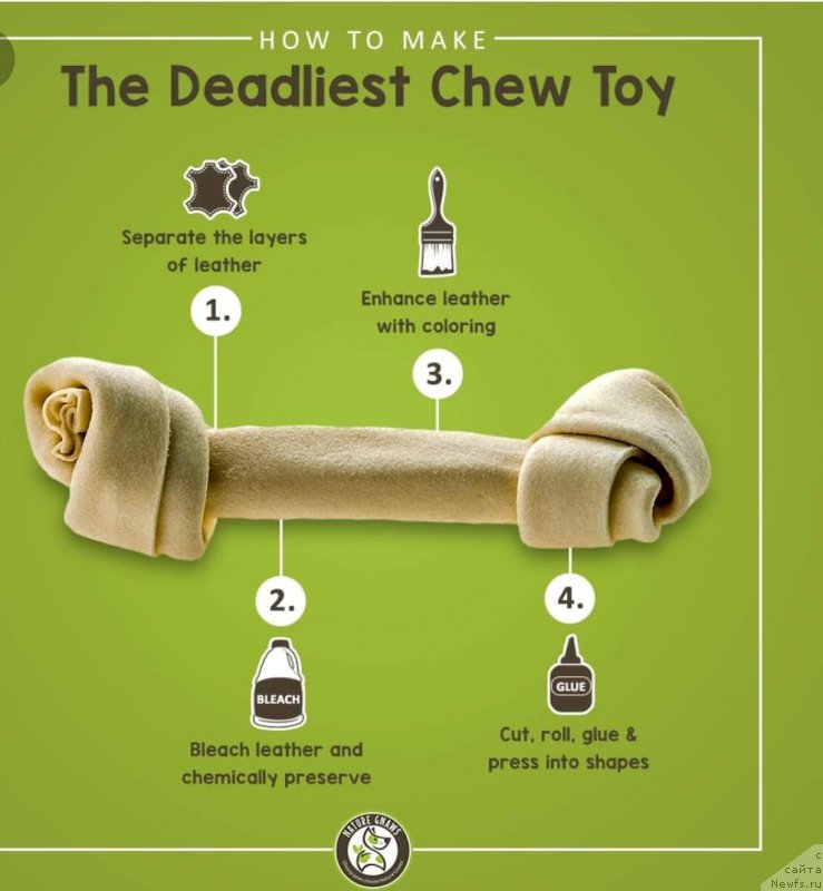 Фотография № 241321