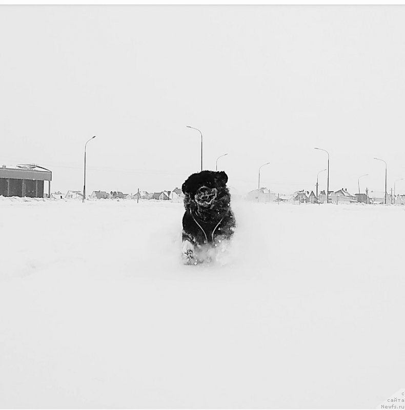 Фотография № 241323