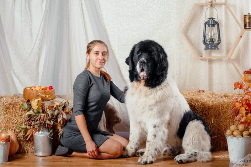 Фотография № 241358