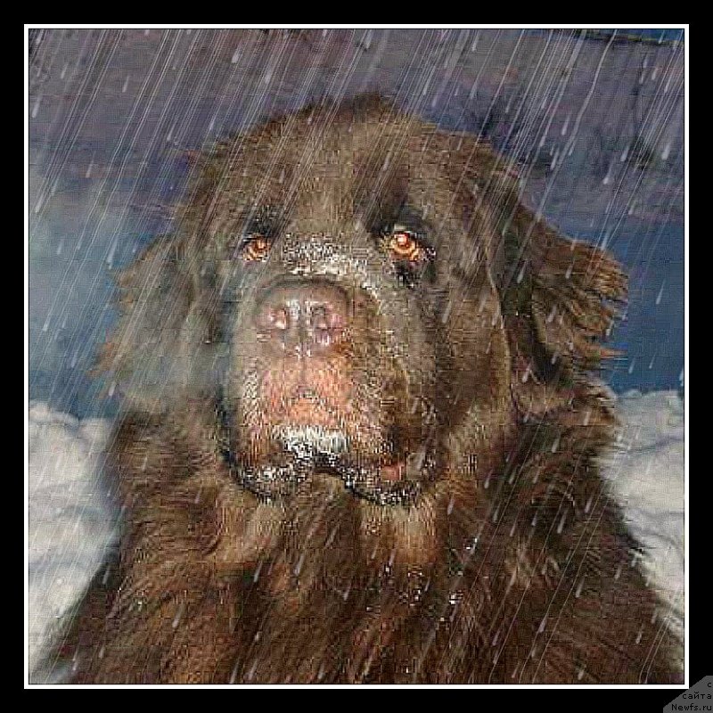 Фотография № 241363