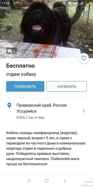 Фотография № 241375