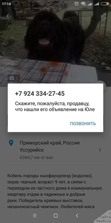 Фотография № 241378