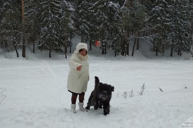 Фотография № 241411