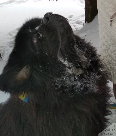 Фотография № 241412