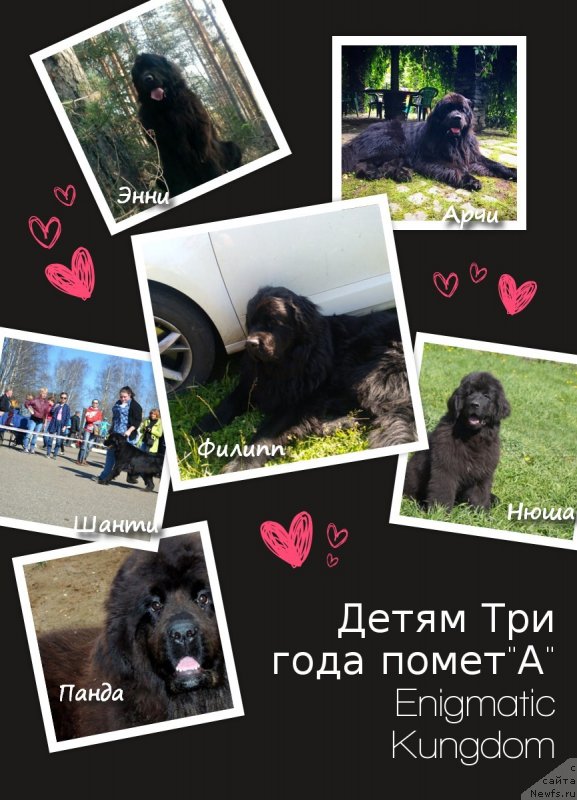 Фотография № 241420