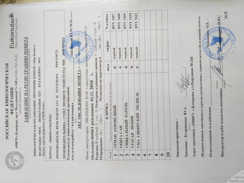 Фото: Виктория Федорова