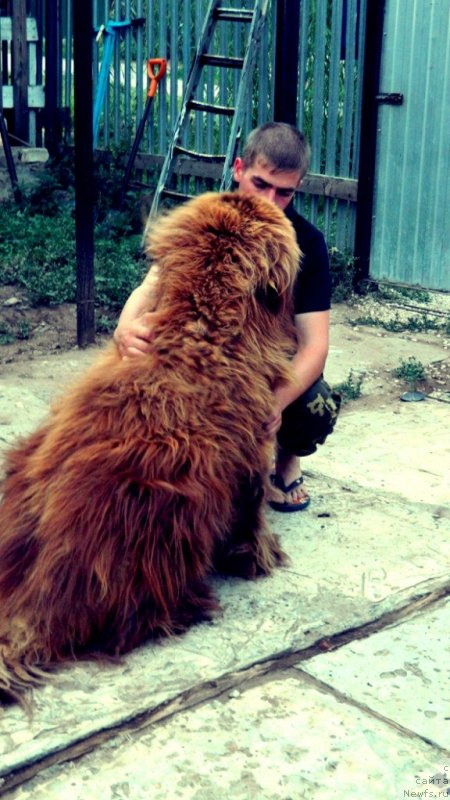 Фото: [d13112] и Егор.