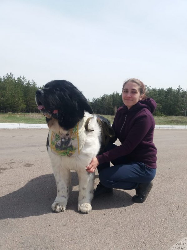 Фотография № 241435