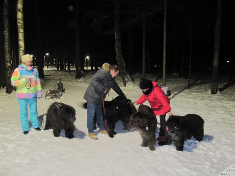 Фотография № 241445