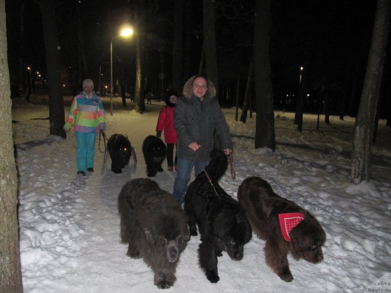 Фотография № 241447